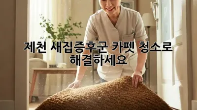 제천 새집증후군? 카펫 청소로 해결하세요!